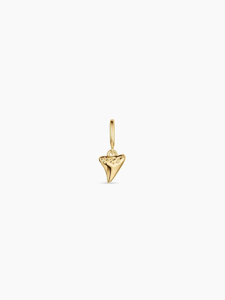 Shark Tooth Parker Charm