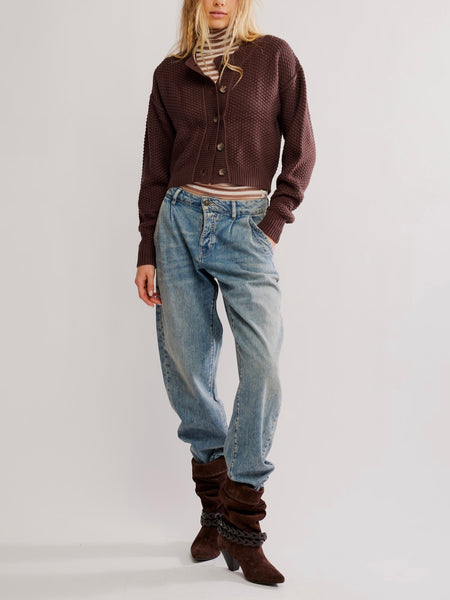 Lila Cardi in Potting Soil