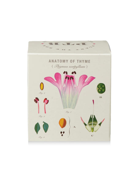 Plant The Box Candle in Somerset Thyme