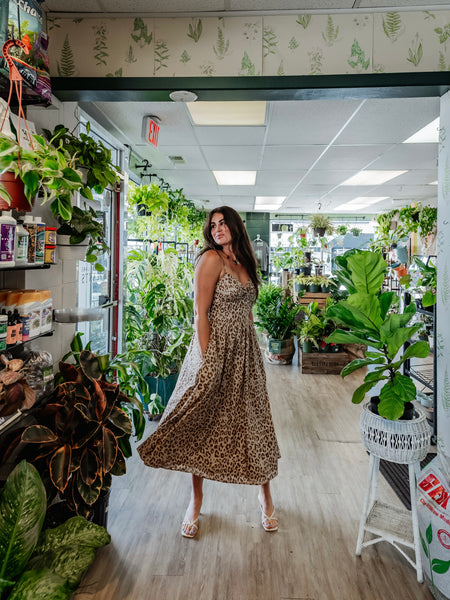 Cheetah Chica Midi in Taupe