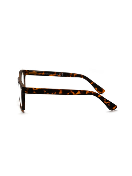 Jackson Readers in Tortoise