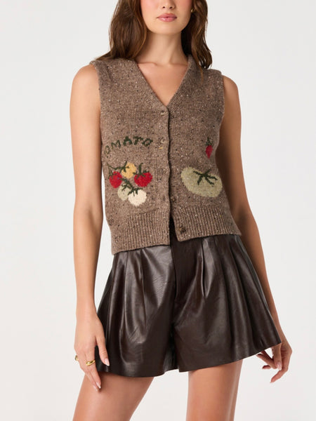 Eira Sweater Vest in Mocha