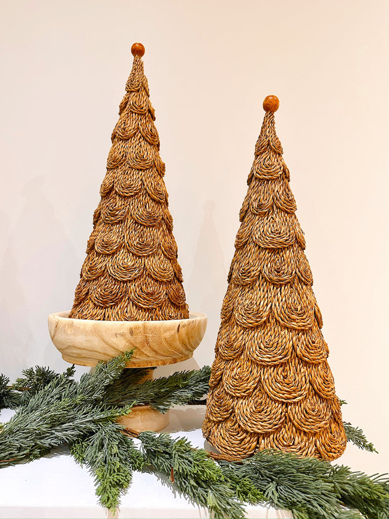 Layered Bankuan Cone Tree in Natural