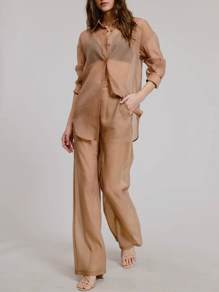 Sheer Intentions Blouse in Taupe