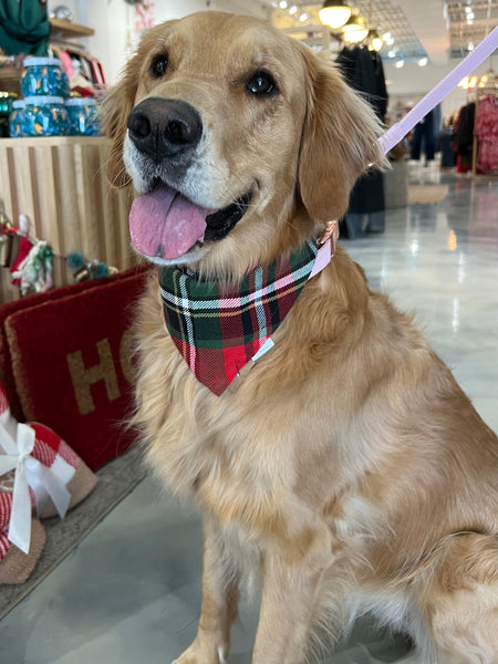 Flannel Dog Scarf in True Tartan