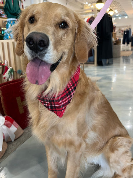 Flannel Dog Scarf in Red Berry