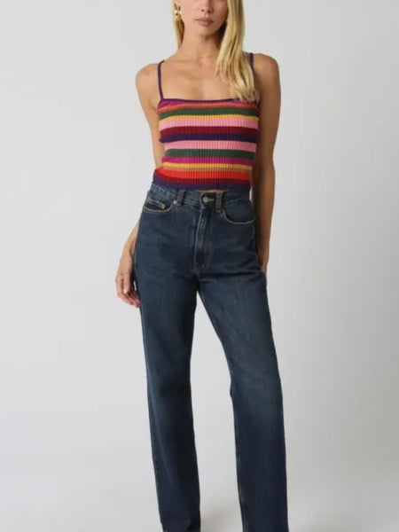 Sorted & Striped Cami in Violet Combo