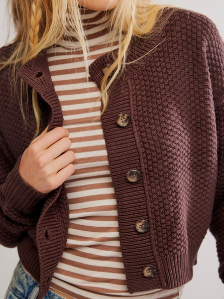 Lila Cardi in Potting Soil