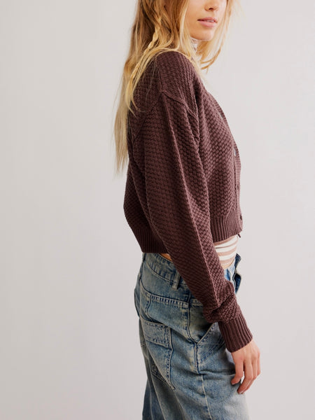 Lila Cardi in Potting Soil