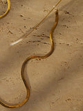 Cobra Glasses Chain