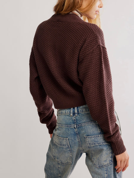 Lila Cardi in Potting Soil