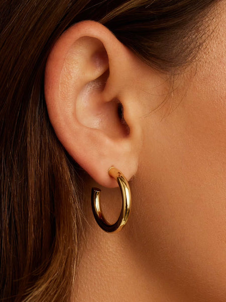 Carter Small Hoops in Gold