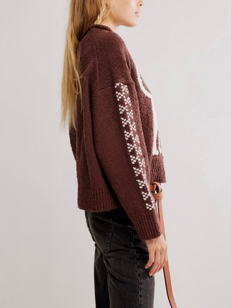 Story Book Sweater in Chocolate Combo