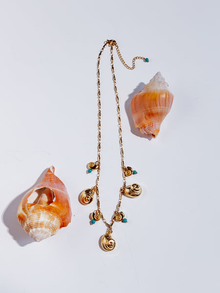 Nautilus Turquoise Shell Necklace