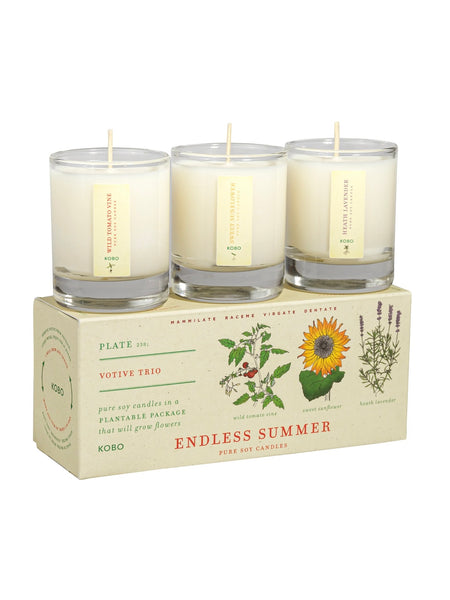 Plant The Box Votive Candle Trio in Endless Summer