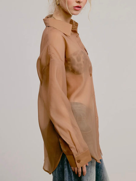 Sheer Intentions Blouse in Taupe