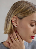 Spruced Up Santa Earring Set
