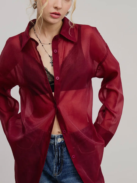 Sheer Intentions Blouse in Burgundy