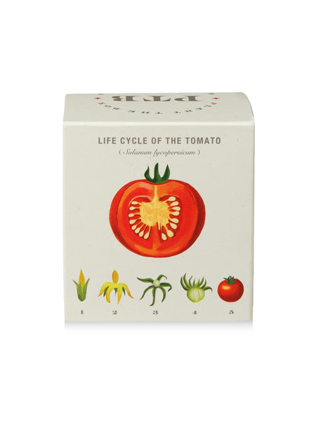 Plant The Box Candle in Wild Tomato Vine
