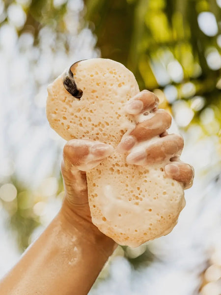 Sweet Grace Body Wash Sponge