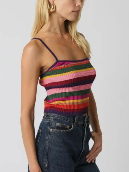 Sorted & Striped Cami in Violet Combo