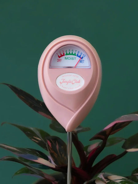 Moisture Meter in Pink