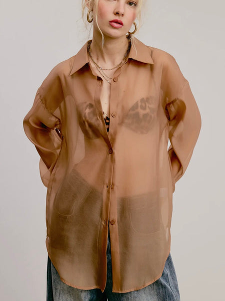 Sheer Intentions Blouse in Taupe