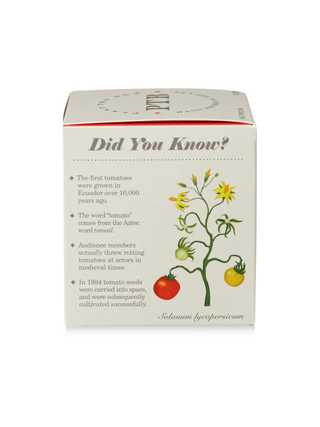 Plant The Box Candle in Wild Tomato Vine