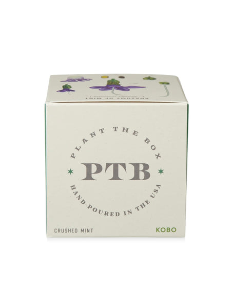Plant The Box Candle in Crushed Mint