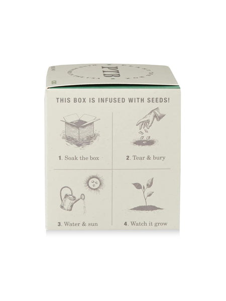 Plant The Box Candle in Crushed Mint
