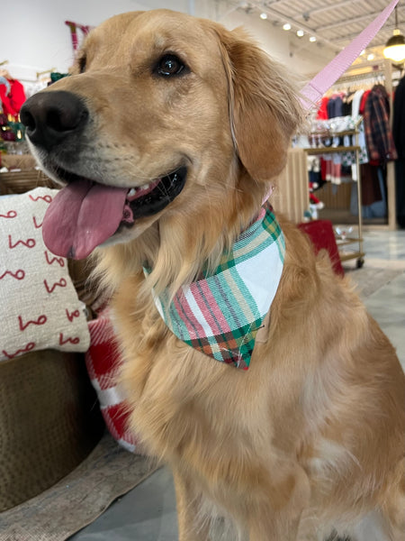 Flannel Dog Scarf in Evergreen