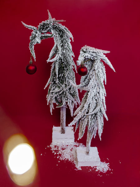 Pacific Long Sleep Set in Falala Cheer