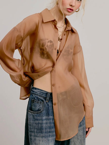 Sheer Intentions Blouse in Taupe