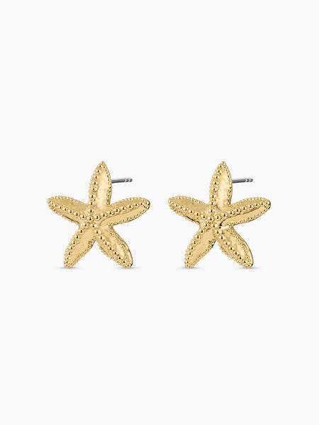 Starfish Statement Earrings
