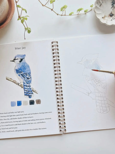 Birds Watercolor Workbook
