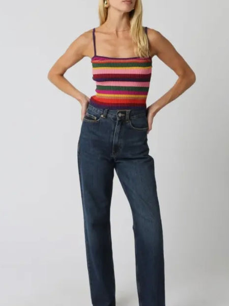 Sorted & Striped Cami in Violet Combo