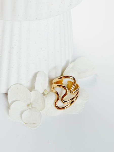 Krill Ring in Two Tone