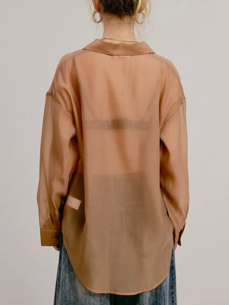 Sheer Intentions Blouse in Taupe