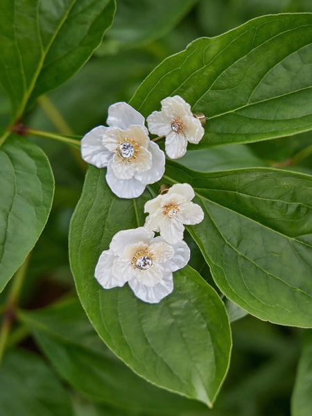 New York Botanical Garden 2-in-1 Poppy Statement Earrings