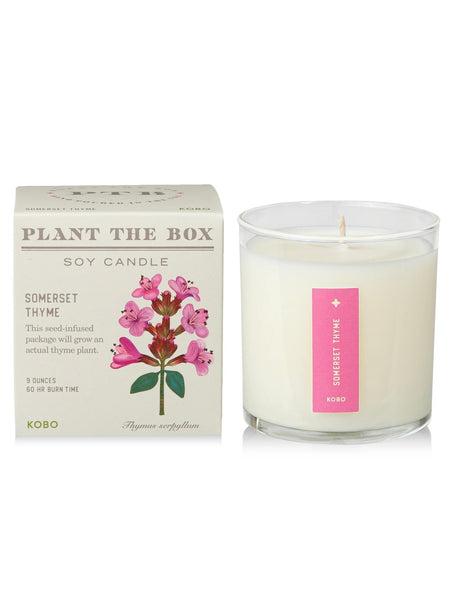 Plant The Box Candle in Somerset Thyme