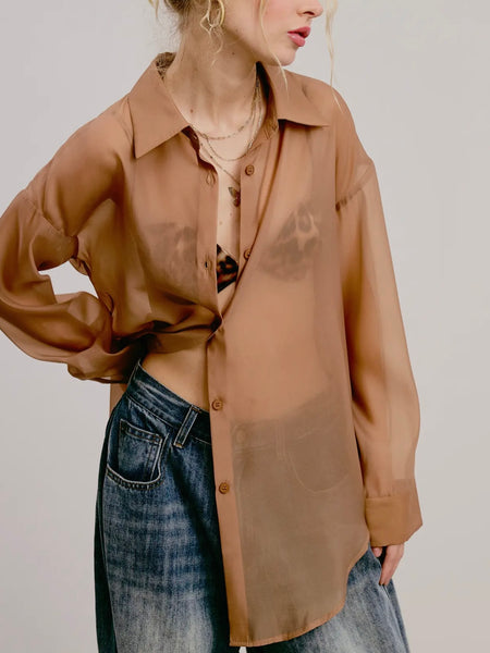 Sheer Intentions Blouse in Taupe