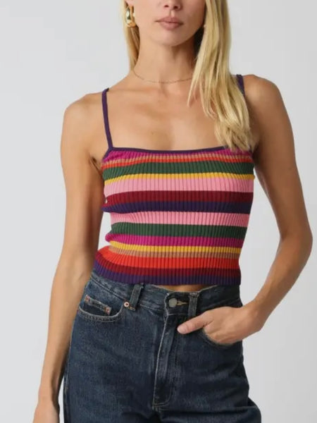 Sorted & Striped Cami in Violet Combo