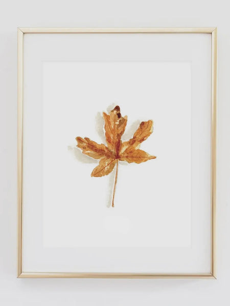 Maple Leaf Art Print