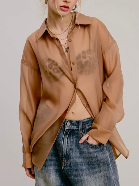 Sheer Intentions Blouse in Taupe
