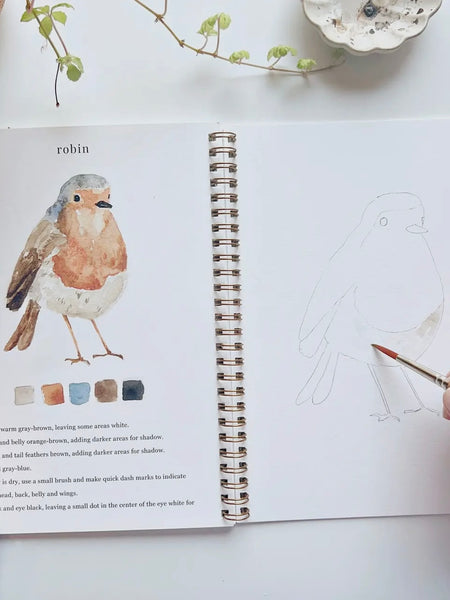 Birds Watercolor Workbook