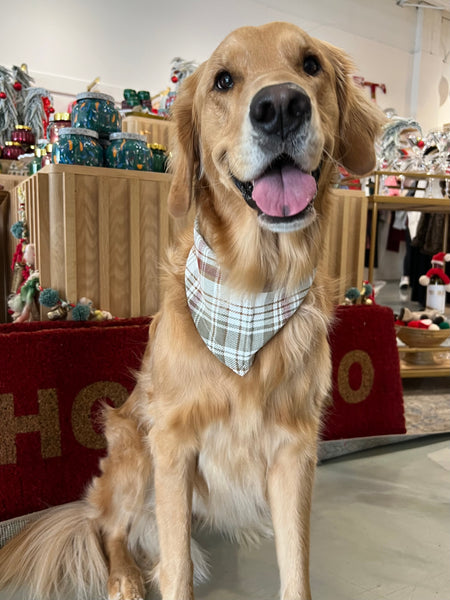 Flannel Dog Scarf in Woodland