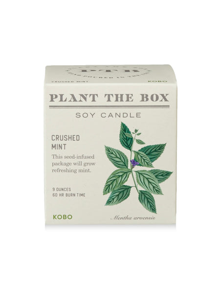 Plant The Box Candle in Crushed Mint