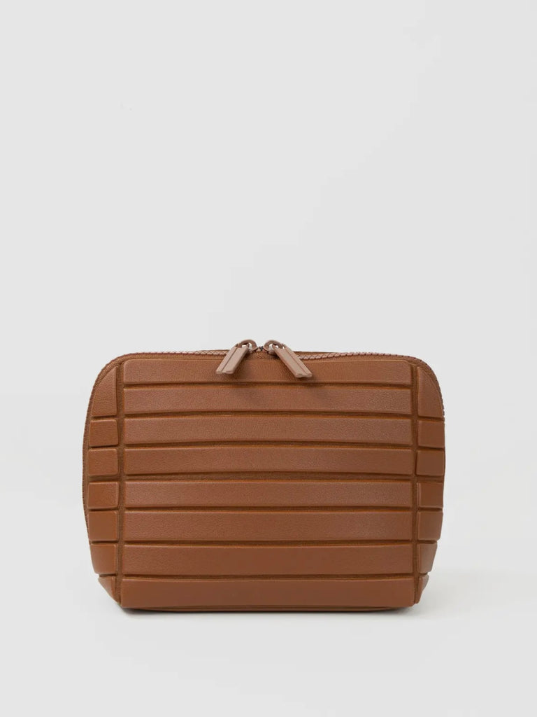 The Small Traveller in Vicuna