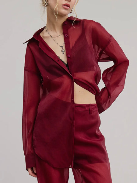 Sheer Intentions Blouse in Burgundy