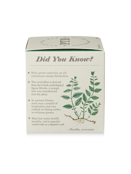 Plant The Box Candle in Crushed Mint
